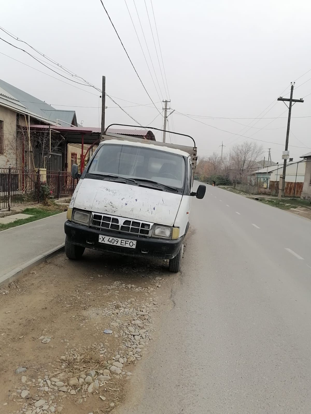 Газель бар қала ішіне.