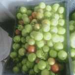 Продам продам продам