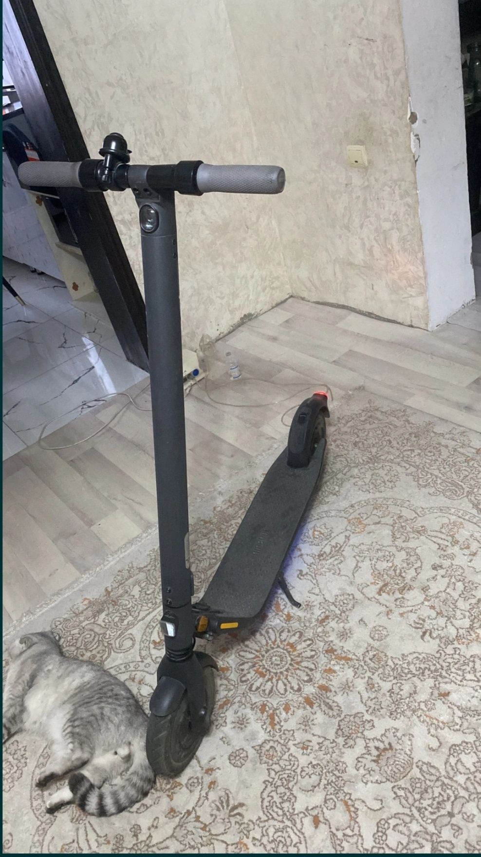 Электросамокат Ninebot kickscooter es2