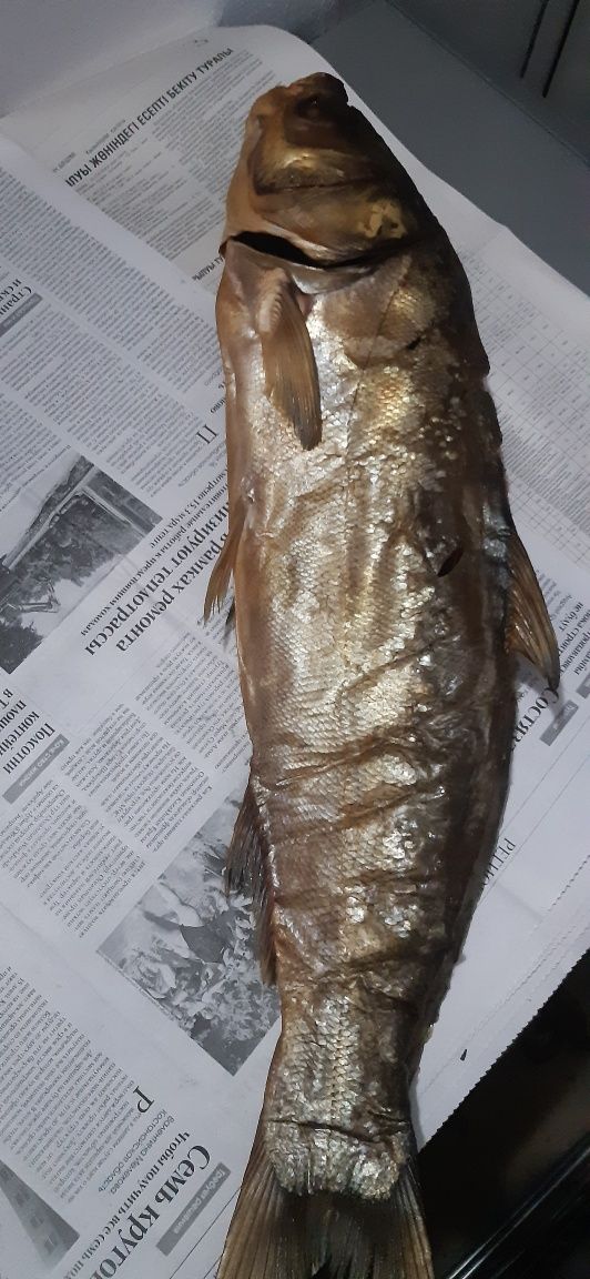 Капченный балыктар