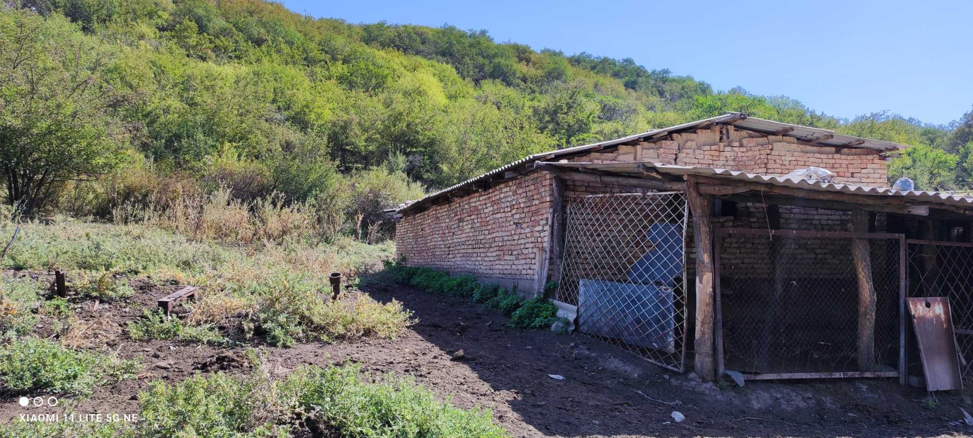 Продам земельный участок 50 гектар круглогодичная пастбища КФХ.
