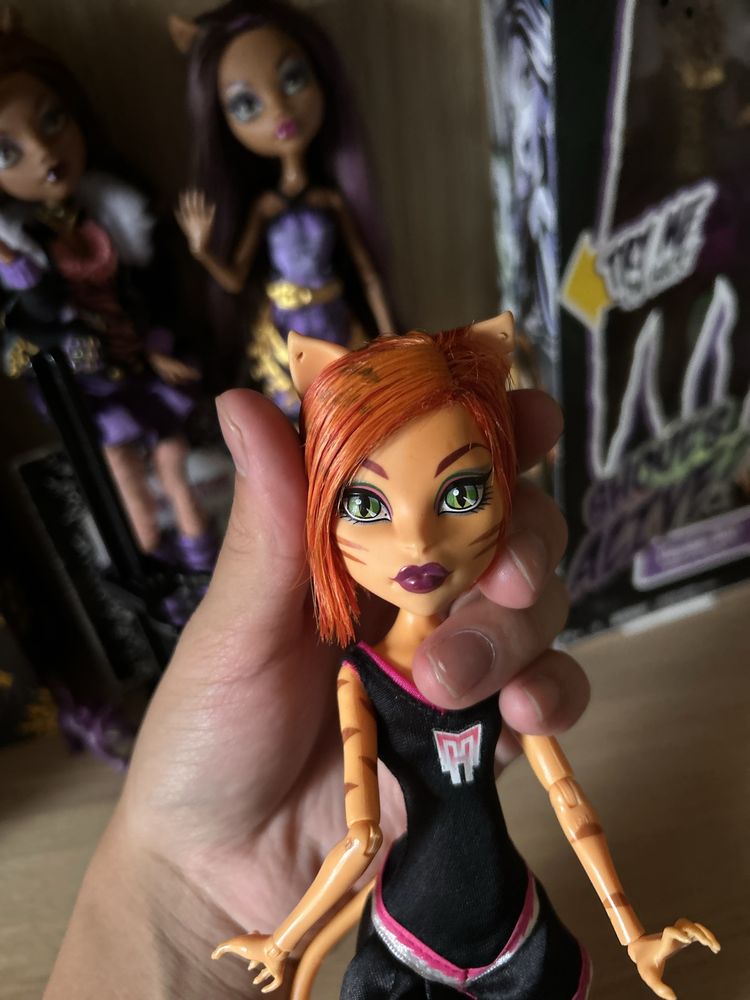 Продажа куклы monster high/монстер хай Торалей Страйп