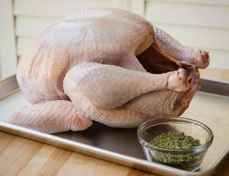 Продам домашнюю индейку.Каспий ред!
