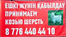 Козию шерсть прнемайм