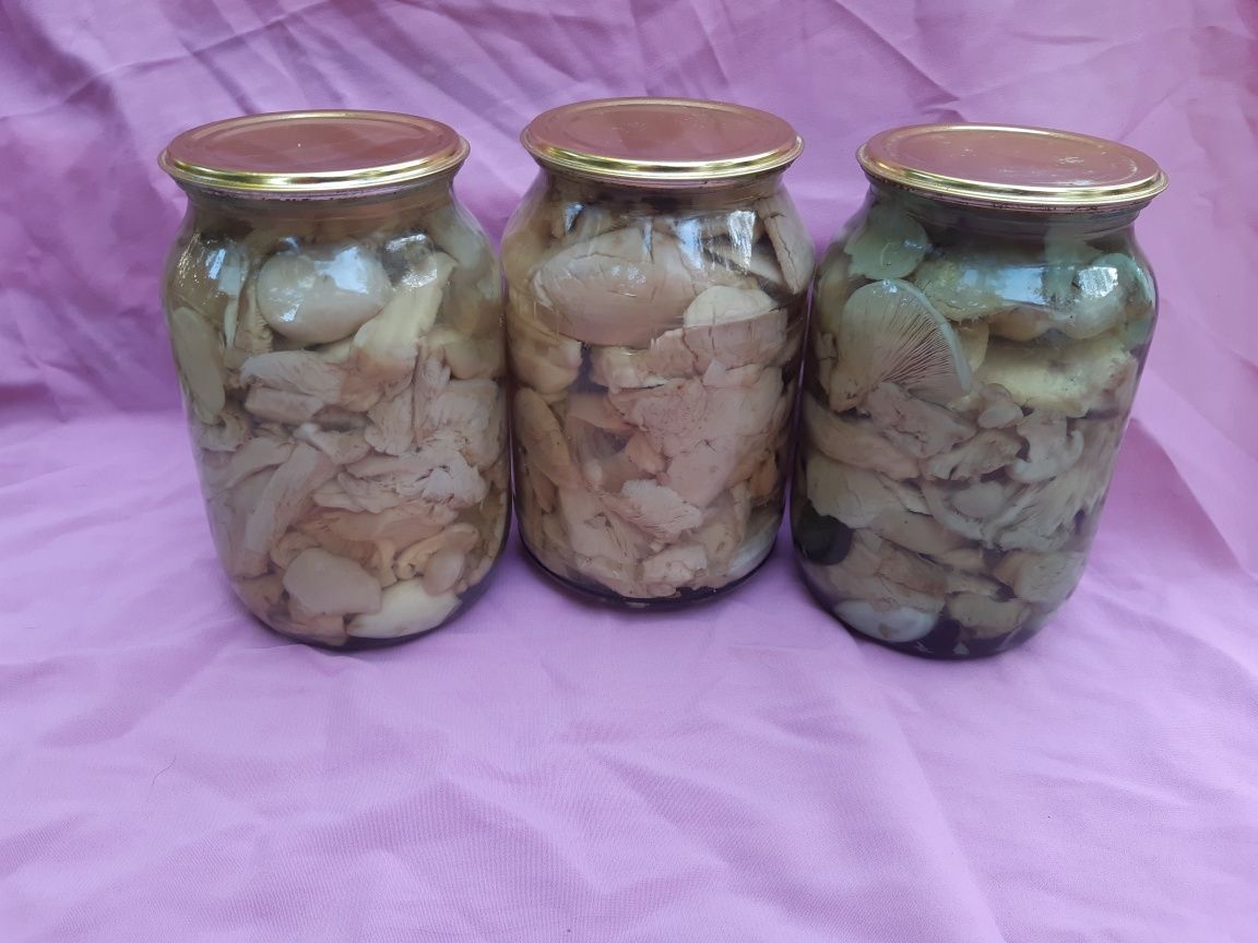Маринованные белые грибы