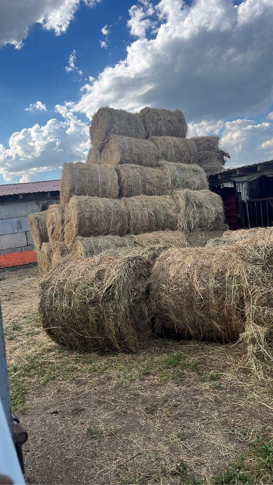 Продам сено в любом количестве. Находимся возле  Астаны