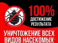 ‼️Обработка‼️ мышей крыс таракан блох клопов кандала Талгар
