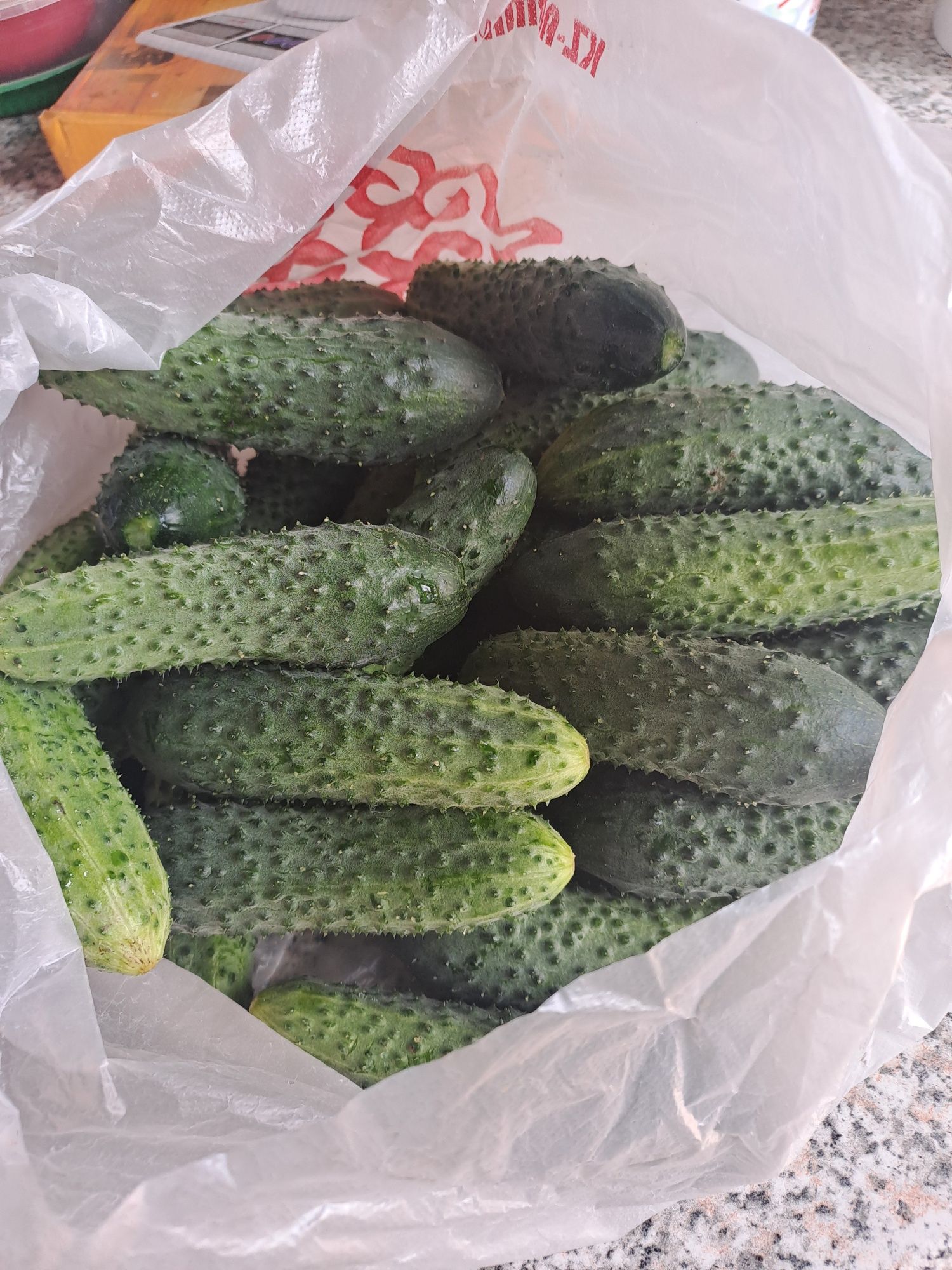Продам огурцы с огорода