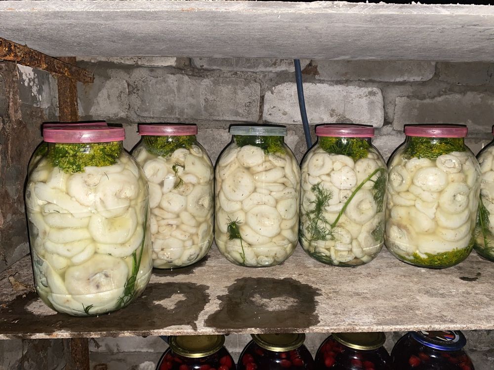 Соленные грибы грузди