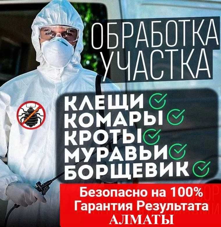 Дизинсекция Дератизация дизинфекция уничтожение комаров клещ блох клоп