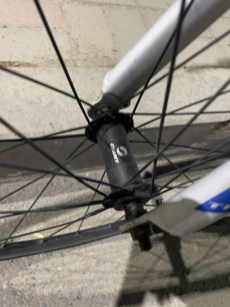 Trinx tempo 1.0, итальянец , все компоненты shimano, размер М 165-185