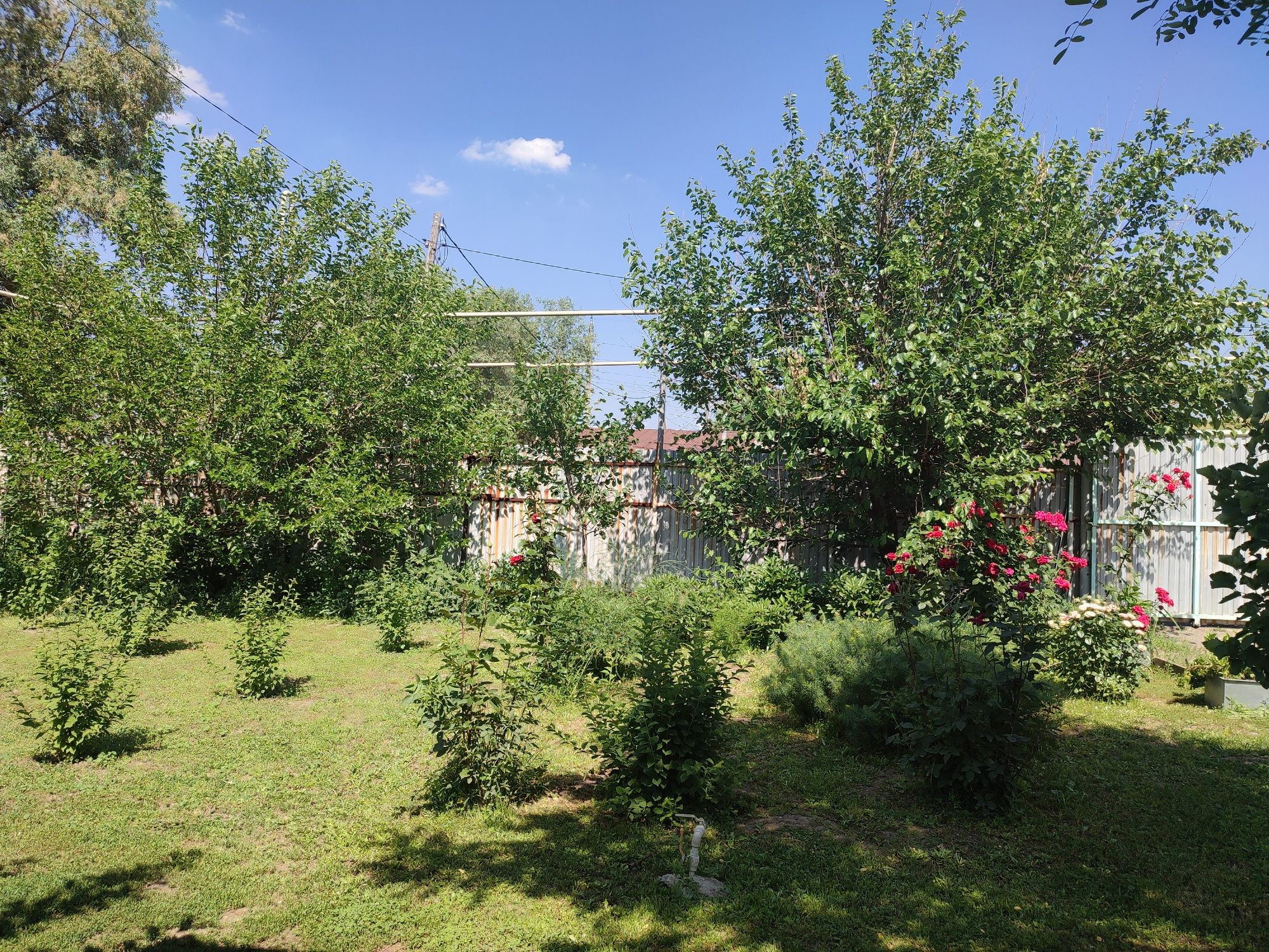 Продается дом на участке 18 соток