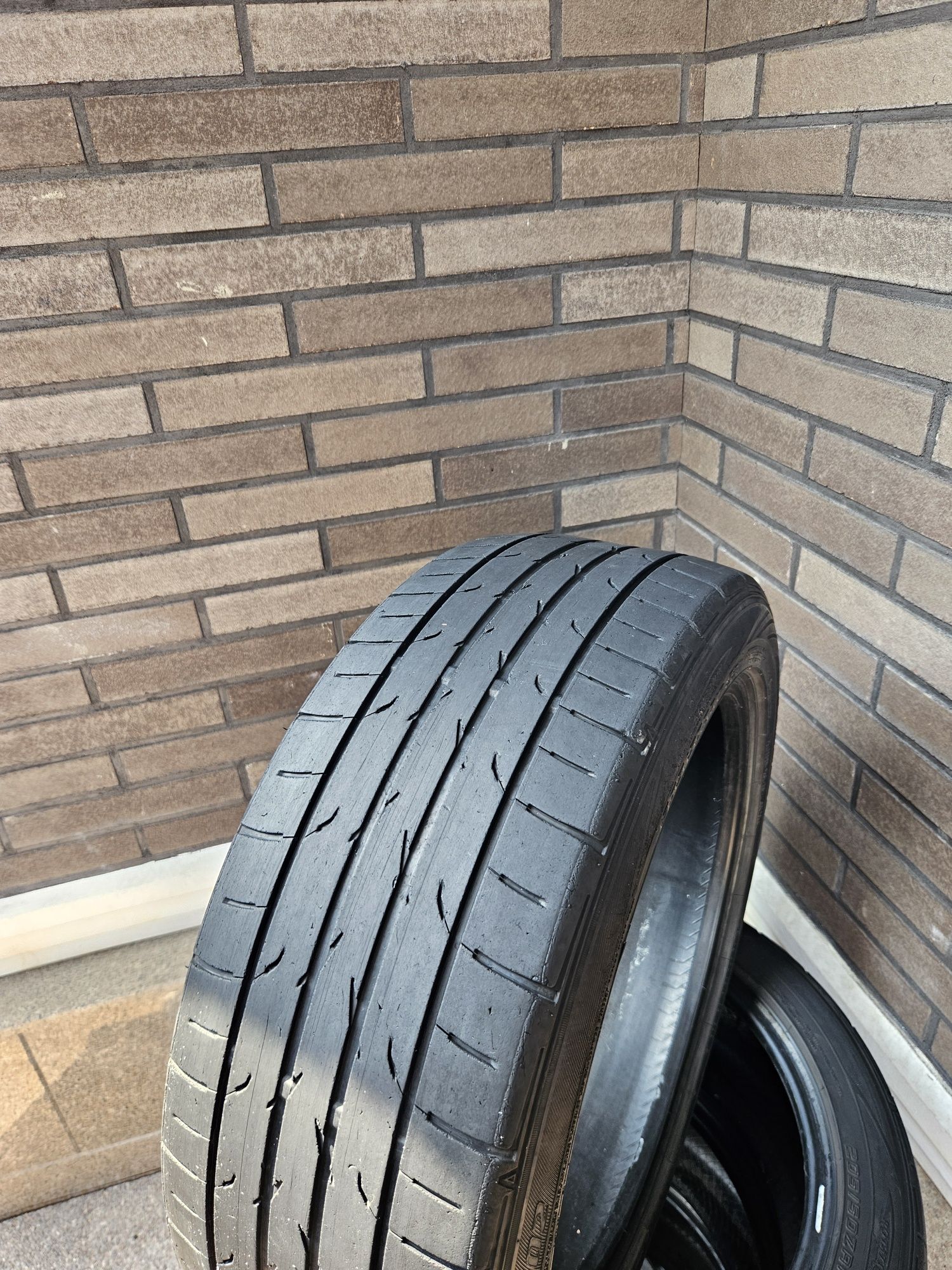 Шины 205 50 r17 Dunlop direzza