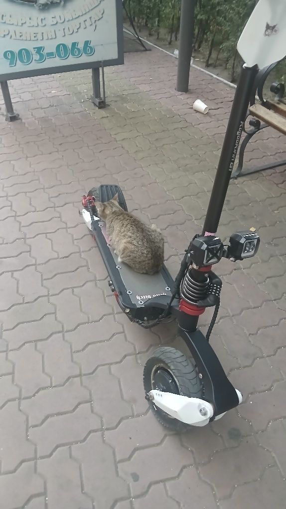 Продам kuggo g1 .