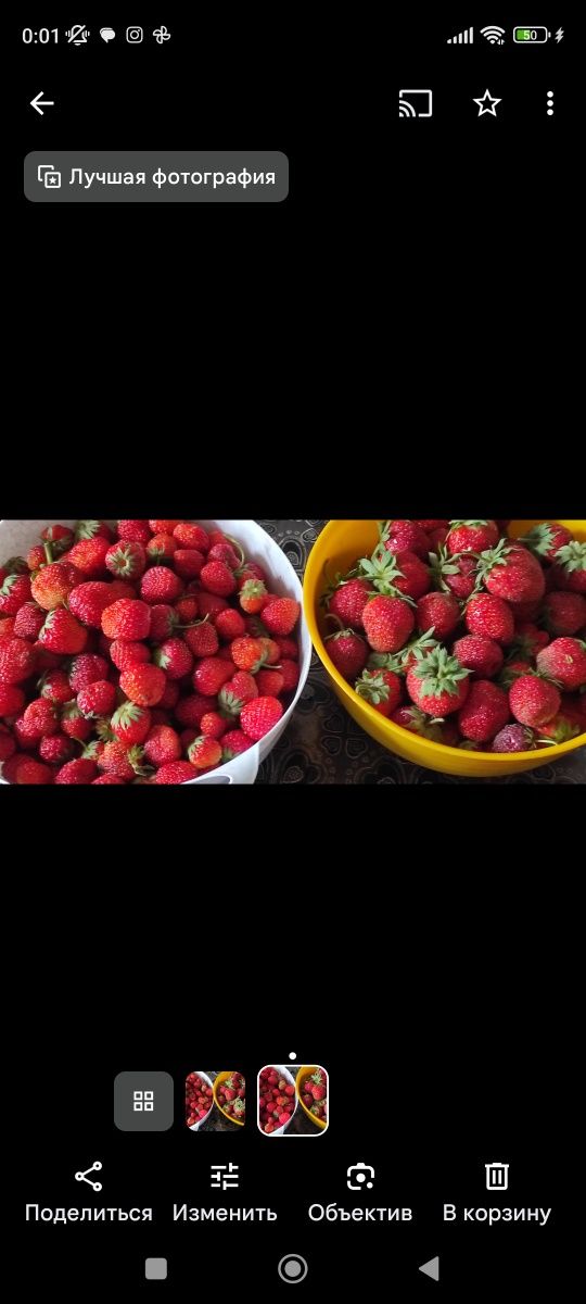 Продам саженцы клубники одноразовой
