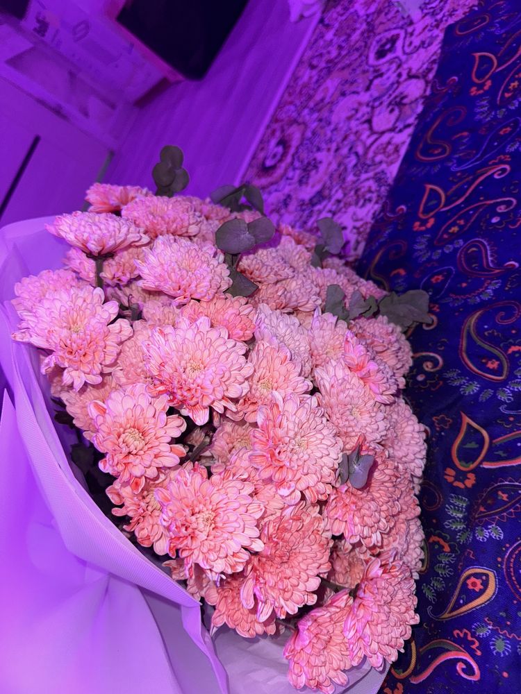 Свежиее цветы продам 10 к
