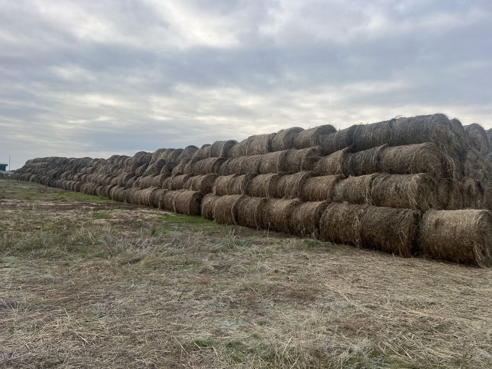 Сено в рулонах продам с доставкой