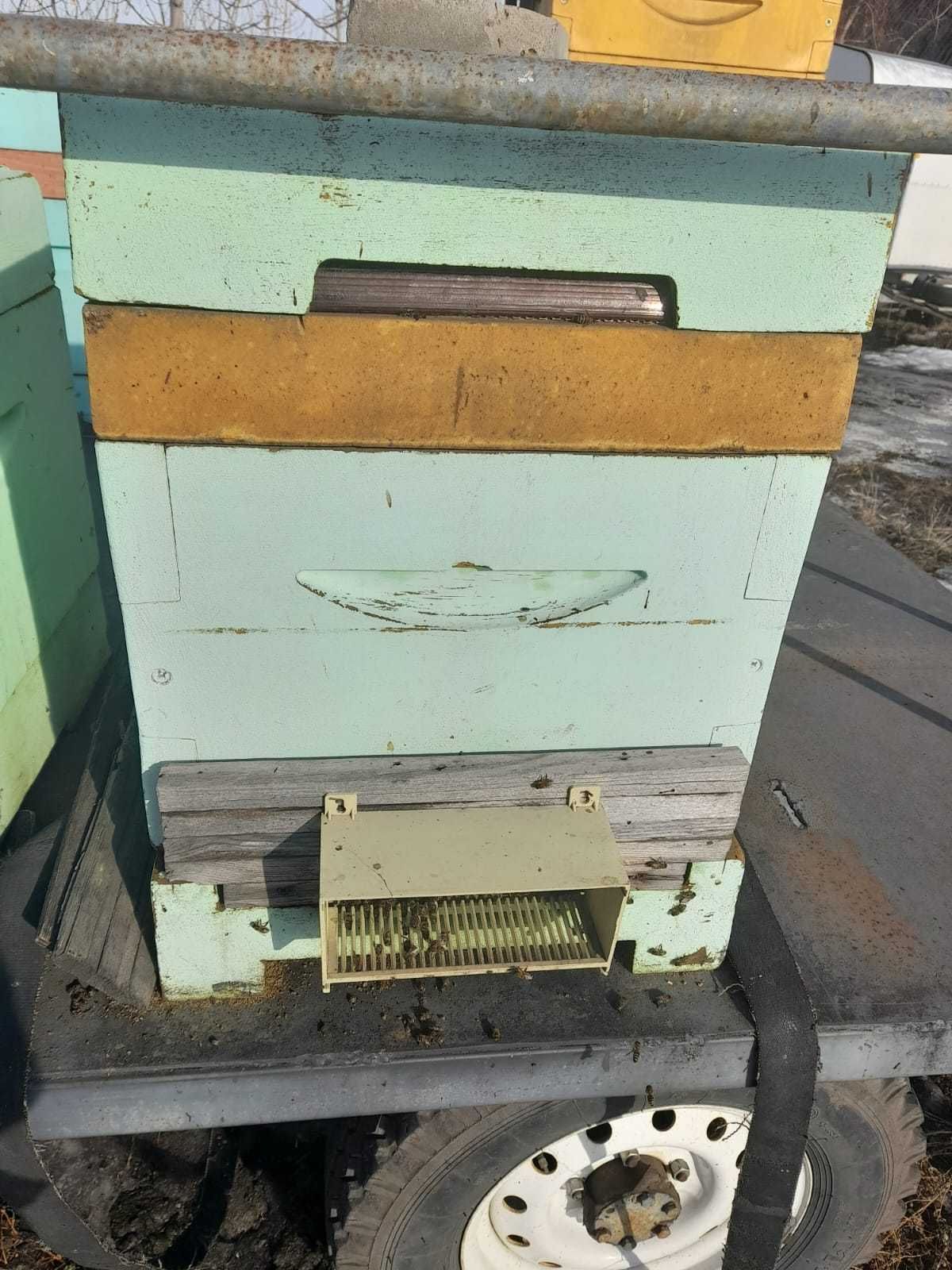 Товары для пчеловода
