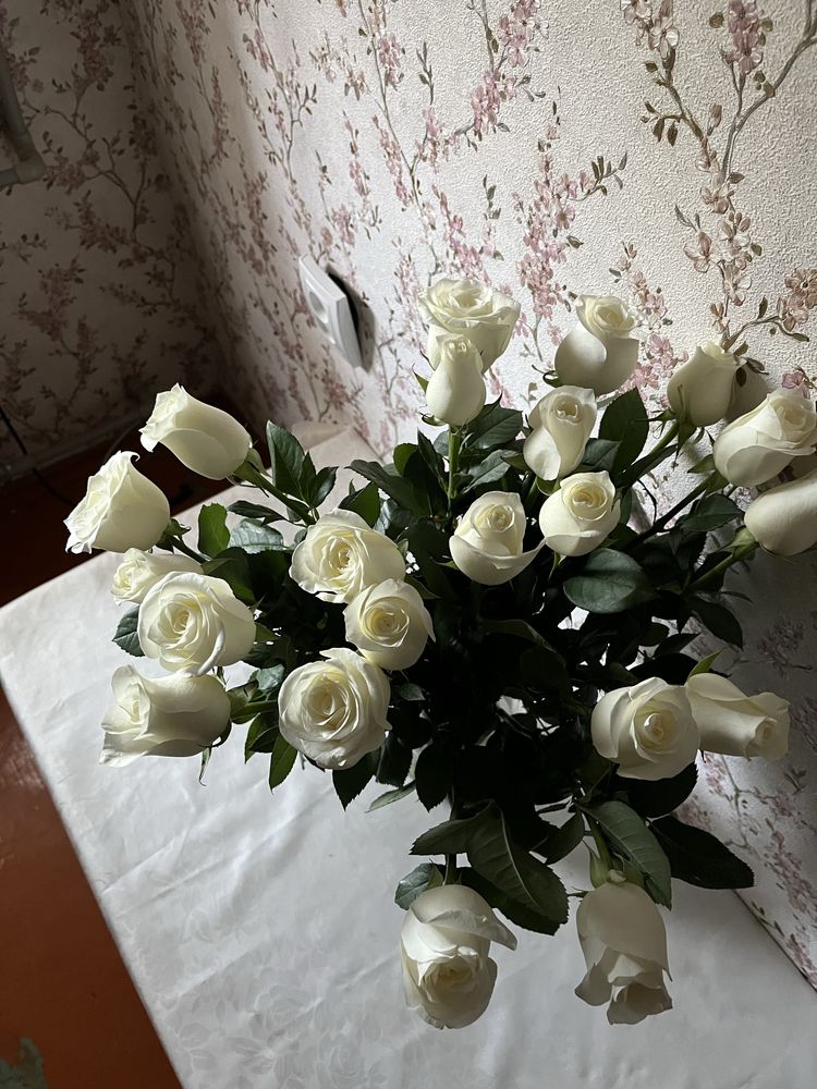 Белые розы 21 шт