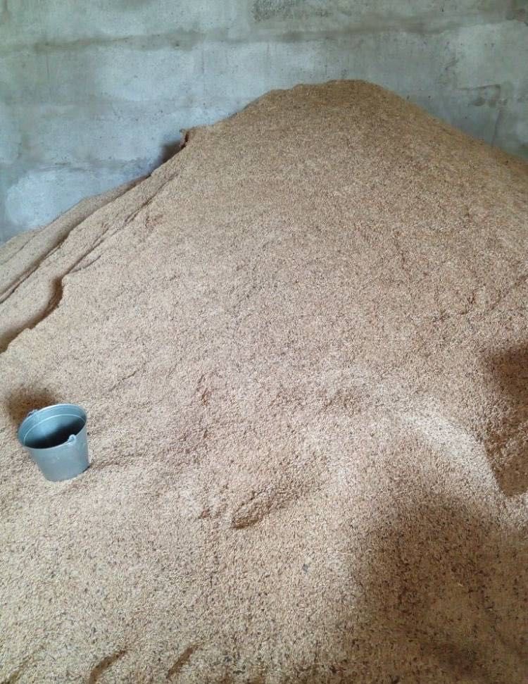 Продаю овёс мешковой