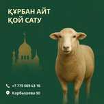 Продажа баранов на курбан айт. Құрбан айтқа қой сату