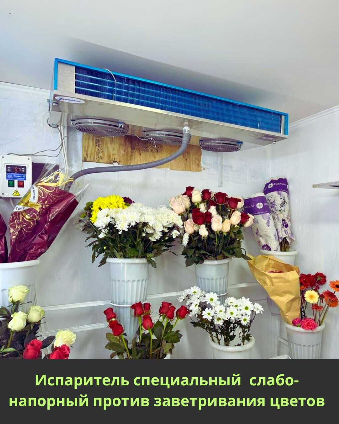 Промышленное холодильное оборудование, агрегаты, сплит-системы