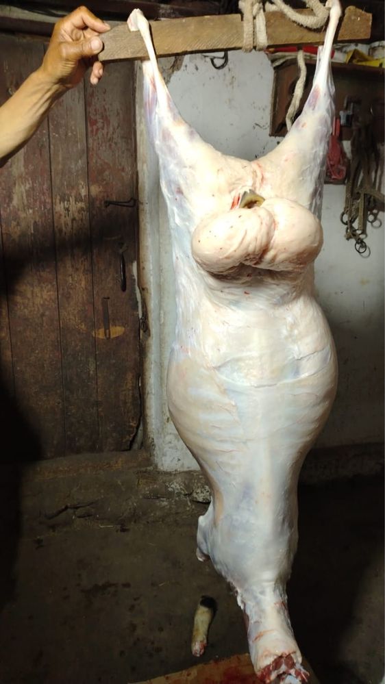 Баранина мясо тушками