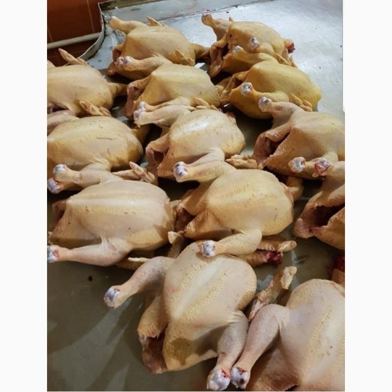 Мясо бройлеров тушками, бройлерные мясо