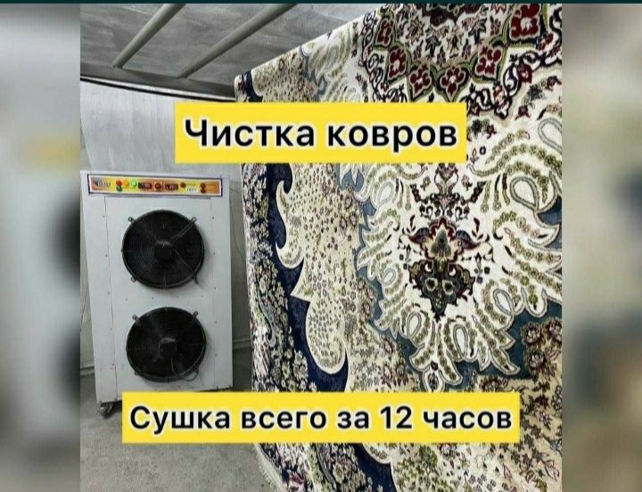 Кілем жуу.  Стирка ковров.