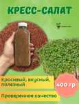 Семена кресс салата 100 гр.