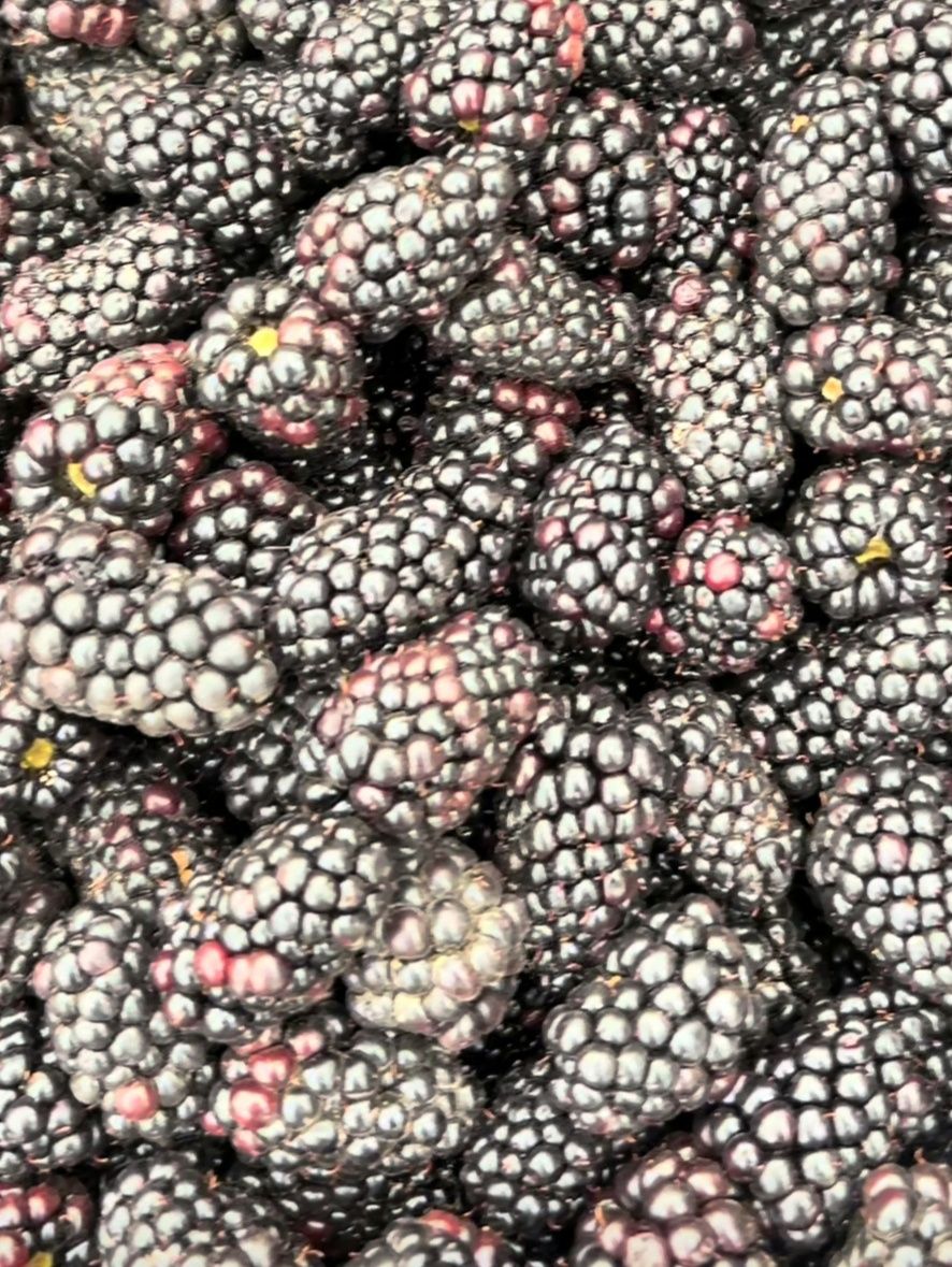 Свежая ягода местная.