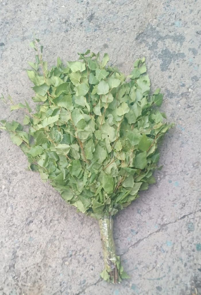 Продам веники берёзовые.