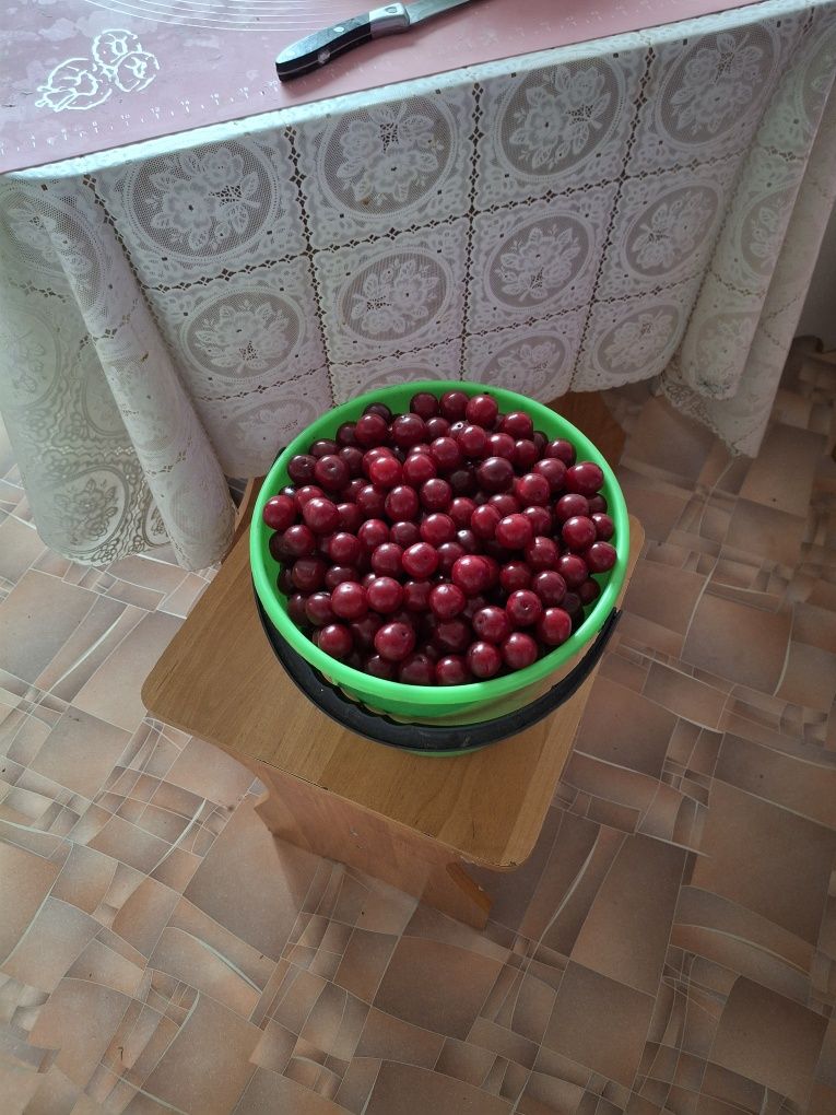 Вишня  домашняя спелая