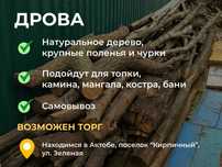 Дрова для отопления, костра, бани (торг уместен)