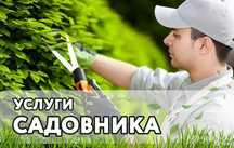 Спил деревьев. Посадка деревьев. Посев газона. Услуги Разнорабочих
