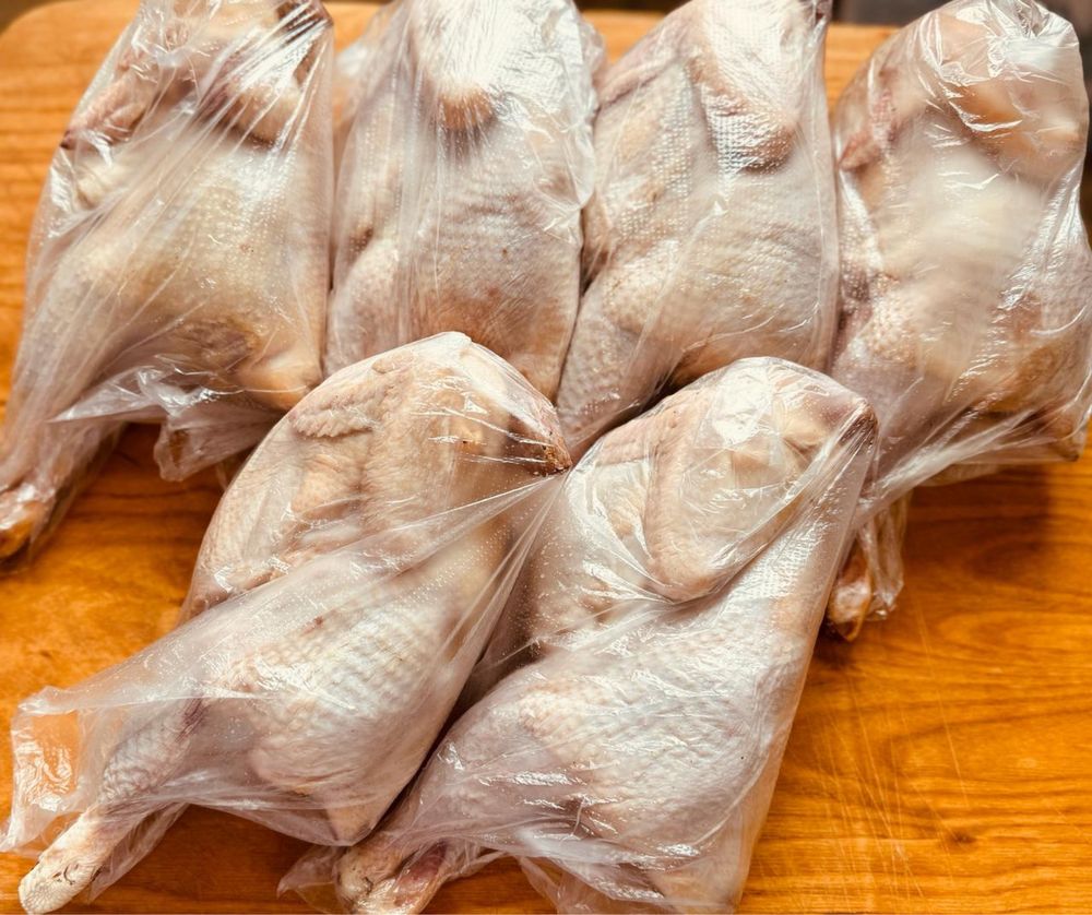 Поступление свежих домашних суповых кур (не бройлер)
