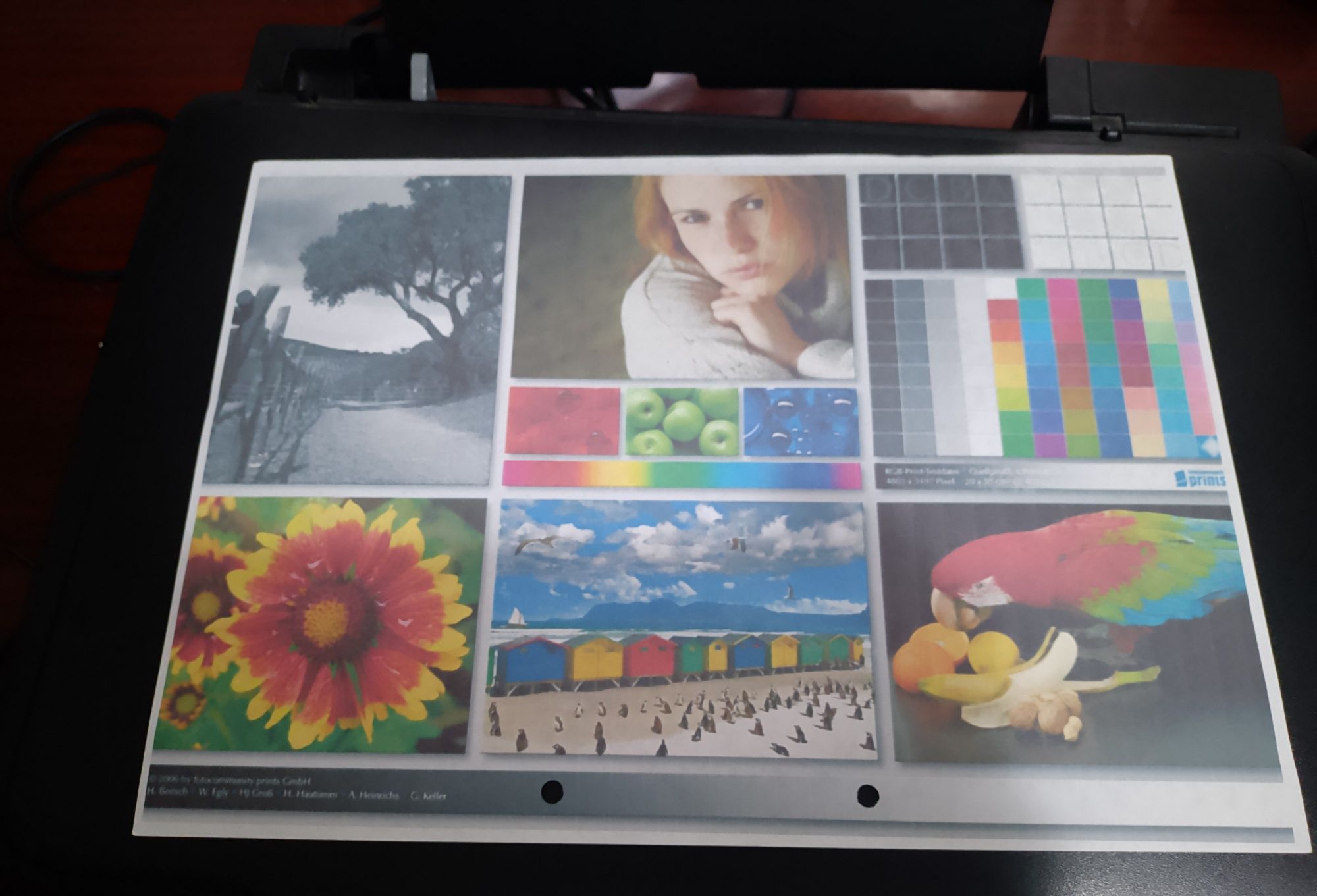 Продам  Epson xp 103