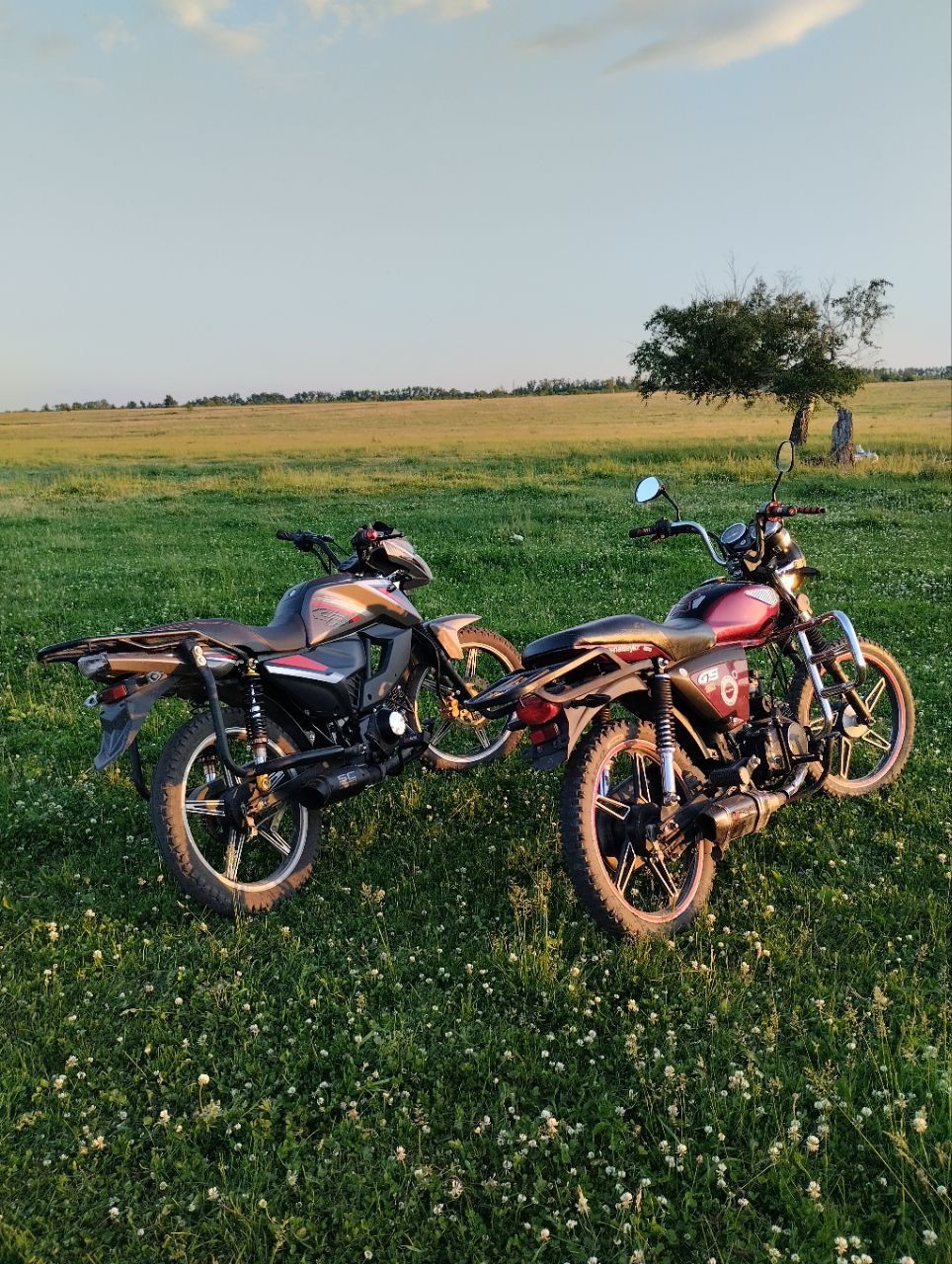 Racer alpha RC110N