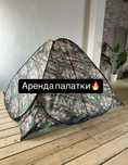 Аренда палаток