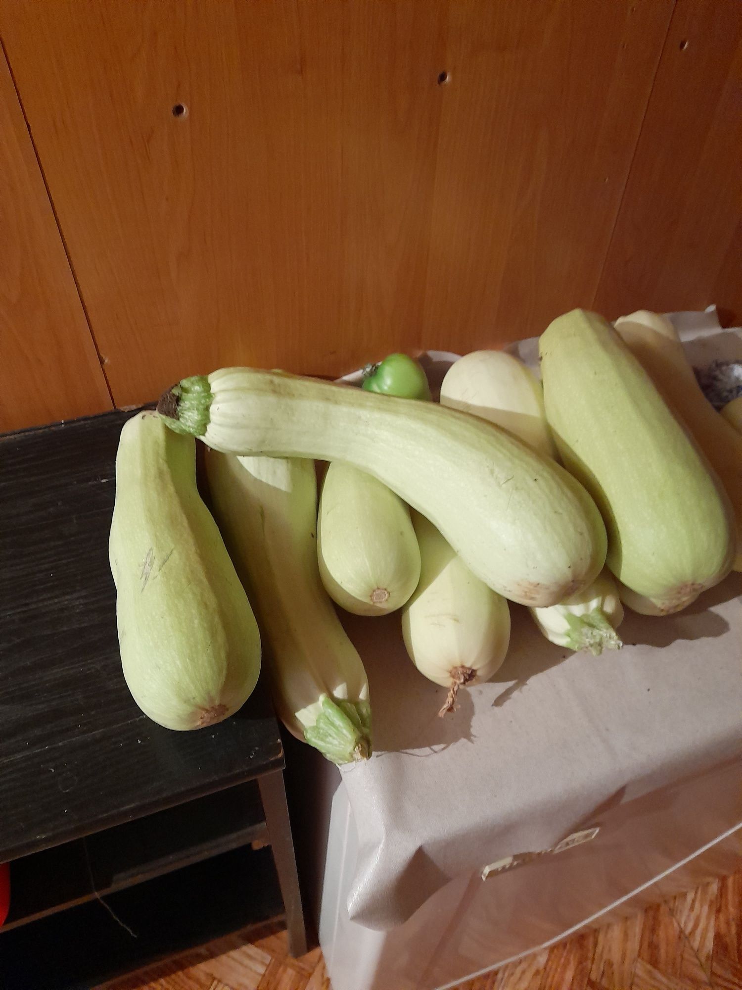 Басплатно угащу кабачками
