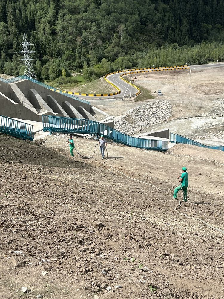 Гидропосев газона. Качественный газон по всему Казахстану