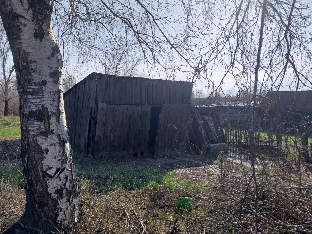 Старый дом в Белаусовке