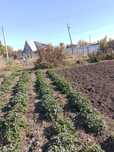 Продам дачу в городе