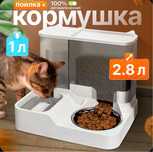 Подарок для вашего любимца