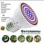 фитолампа,фитолампочка
