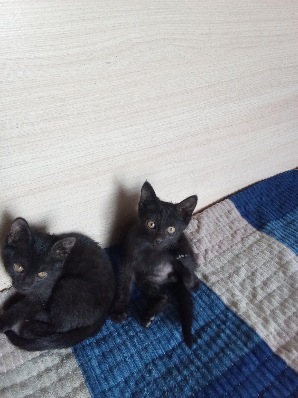 Мальчик и девочка