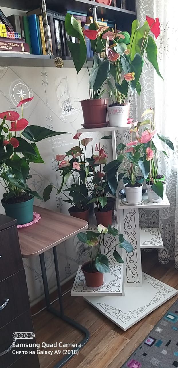 Полка для цветов