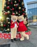 Прокат костюм мишки тедди