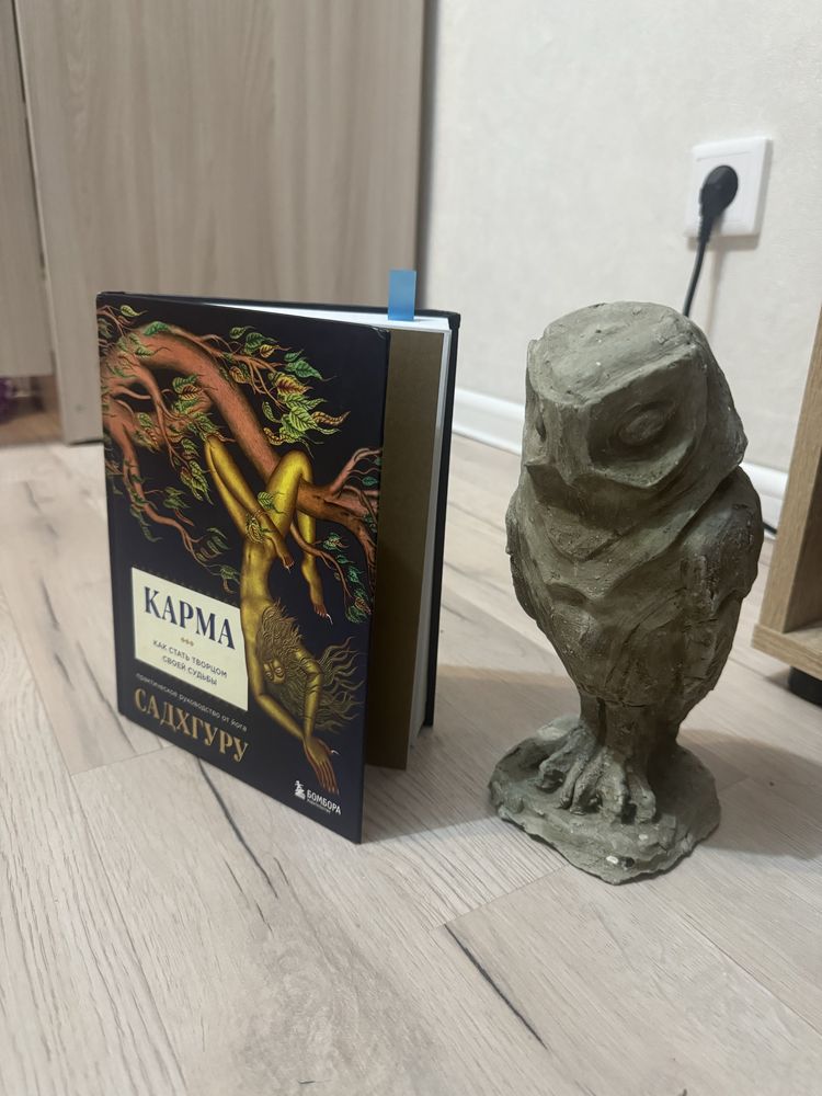 Книга Садхугру и статуэтка в подарок