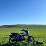 Альфа пела 125 .